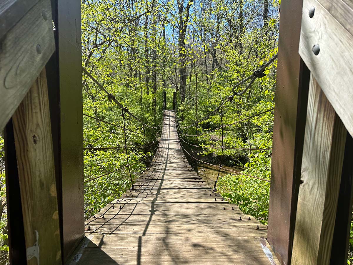 Harkers Run - Bachelor Preserve (Suspension Bridge)