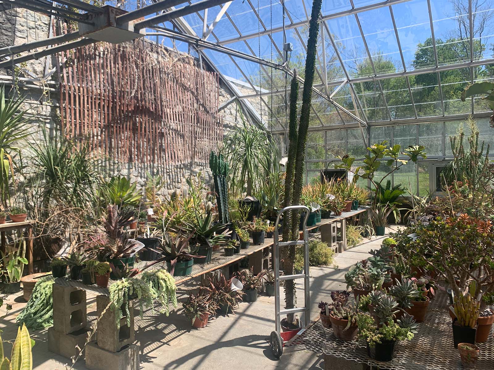 Belk Greenhouse