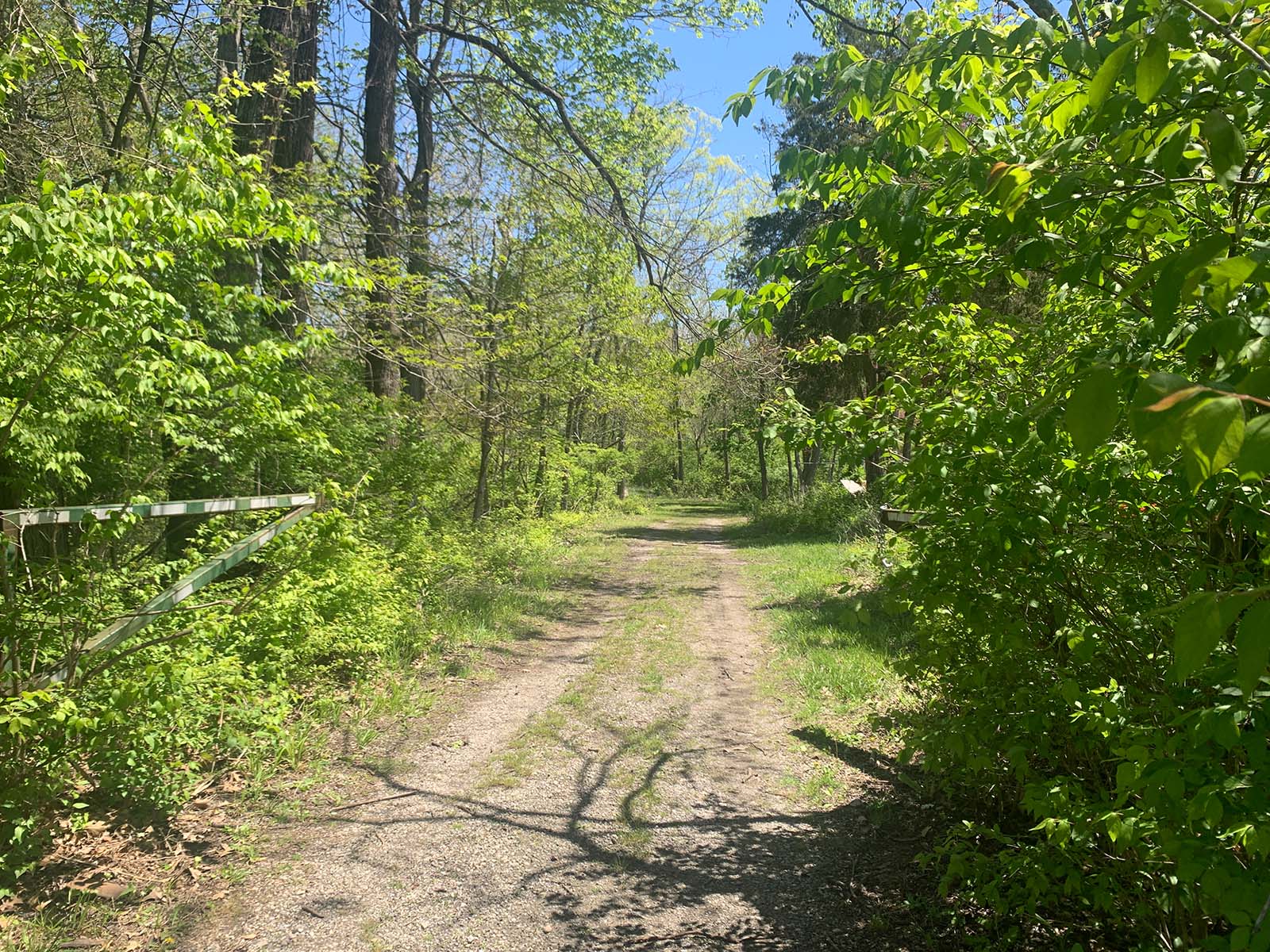 Walking Trails at Western