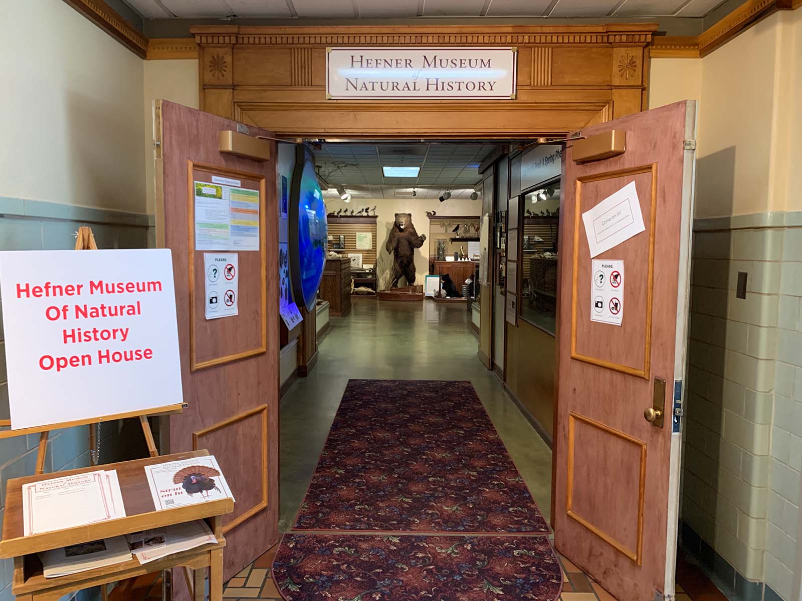 Upham Museum